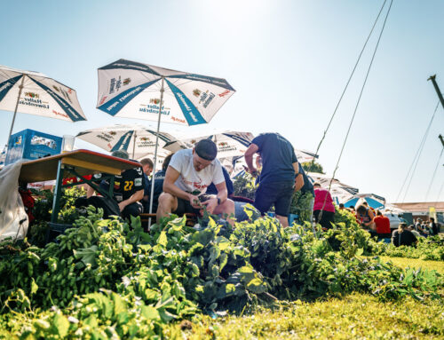 Fest der Hopfenernte 2025